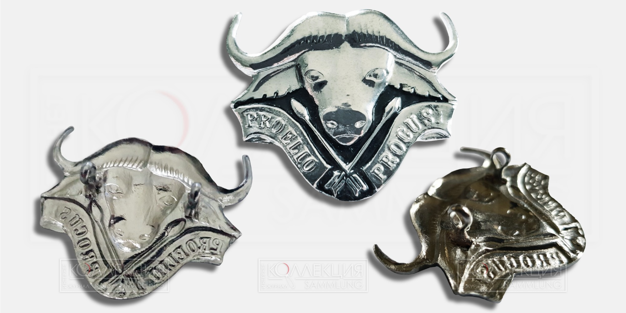 Кокарда 32-го батальона «Buffalo» (1975—1993) ЮАР с девизом «Proelio Procusi» (с лат. «Выкованы в битве»). Коллекция Михаила Тренихина