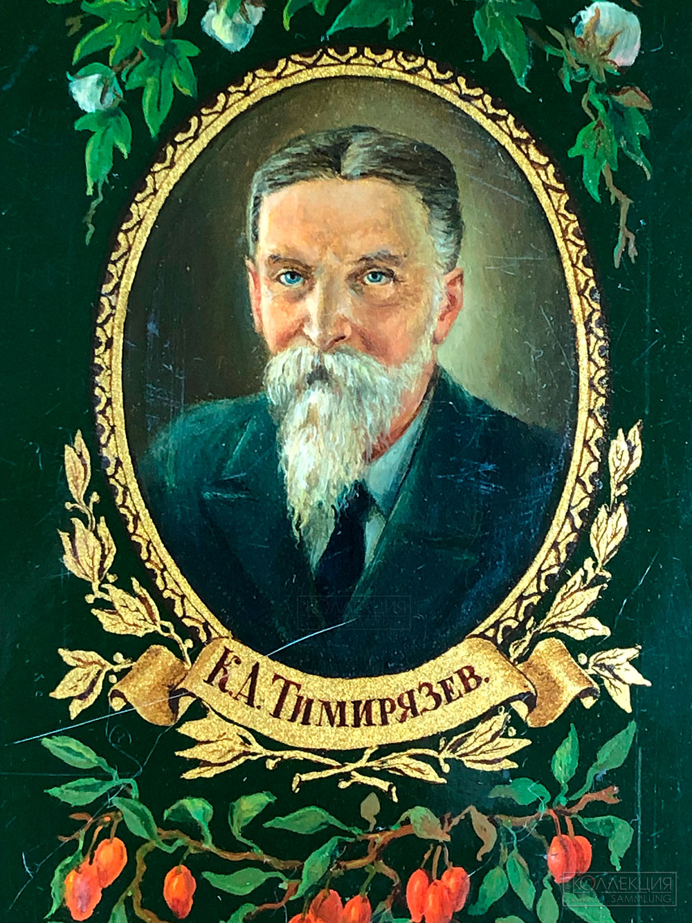 К.А. Тимирязев (1843—1920)