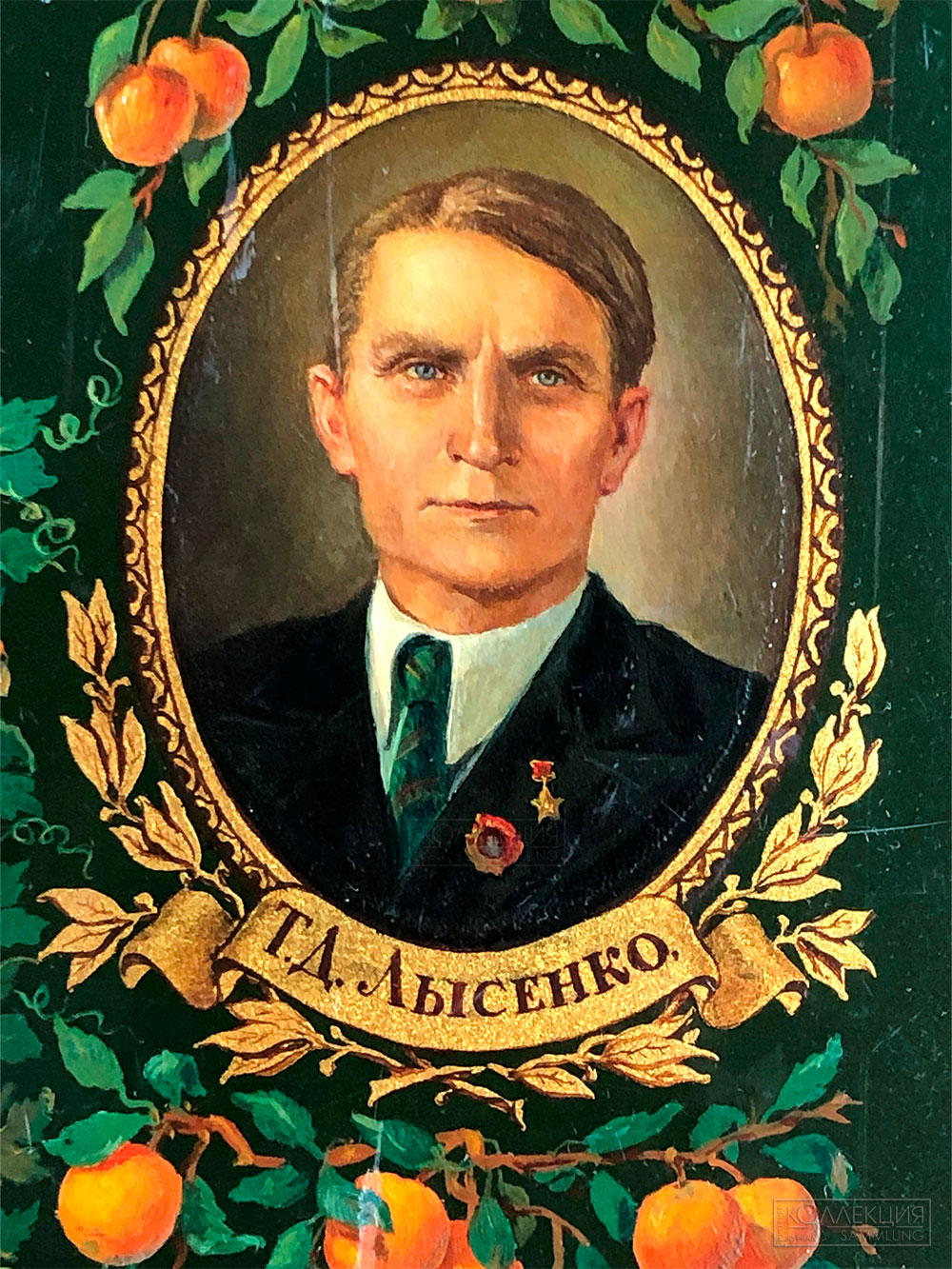 Т.Д. Лысенко (1898—1976)
