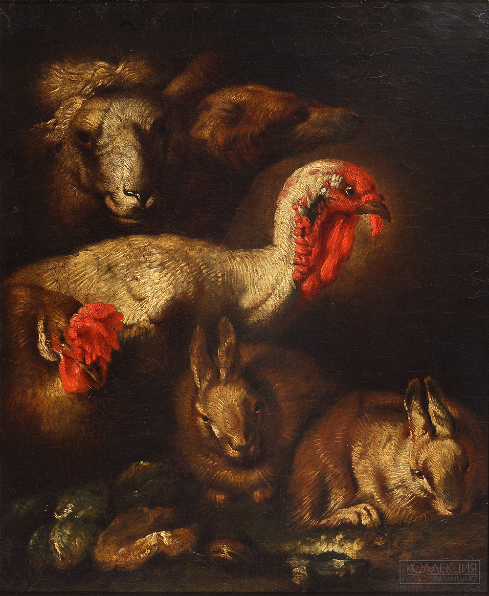 Кастильоне Джованни Бенедетто (Giovanni Benedetto Castiglione). Индюк и кролики. Италия. XVII век. Холст, масло. 55х45 см