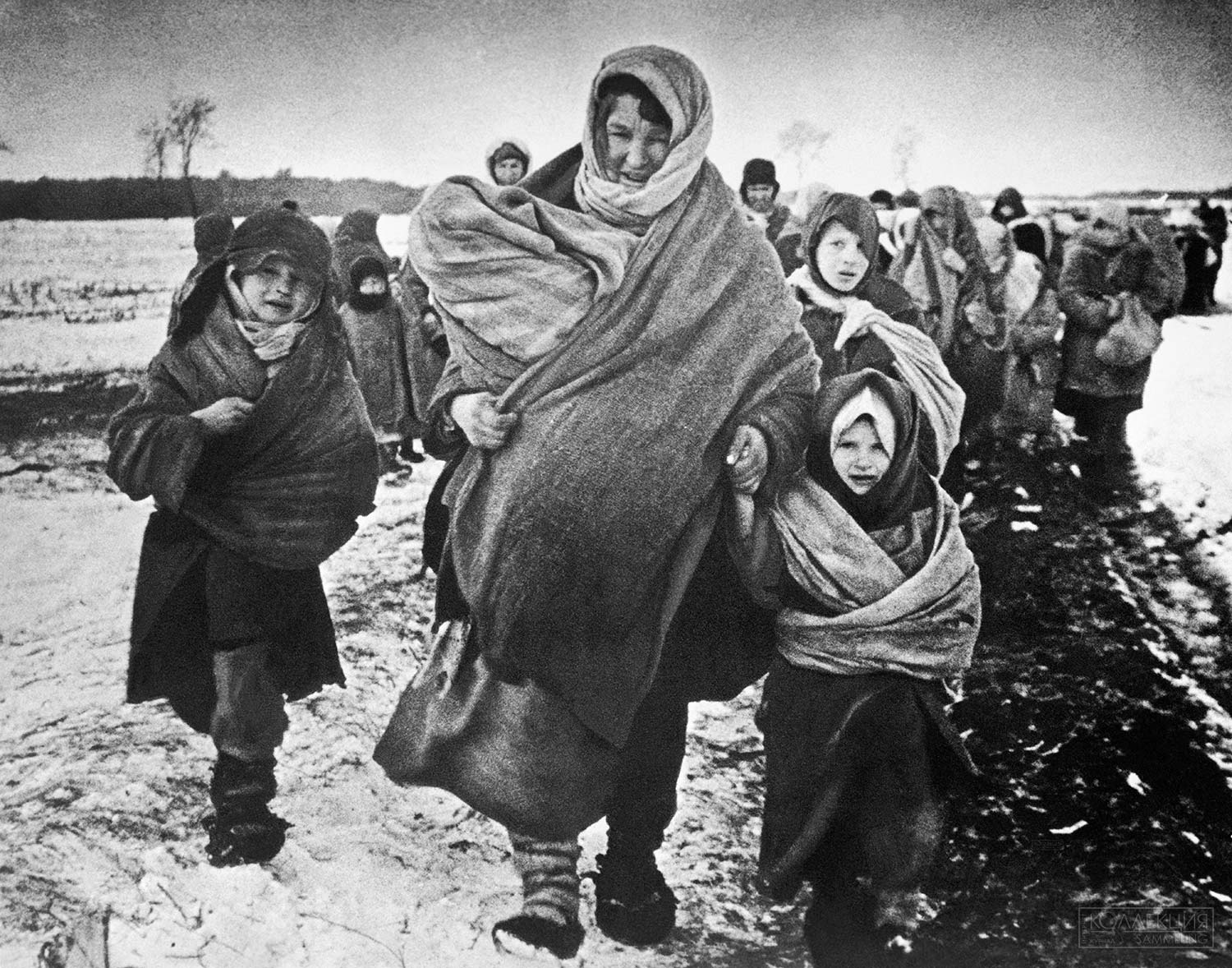 Зима 1943 г. СССР. Беженцы, возвращающиеся в свое село после освобождения его от немецко-фашистских захватчиков во время Великой Отечественной войны. Точная дата и место съемки не установлены. Максимально возможное качество. Макс Альперт/ТАСС