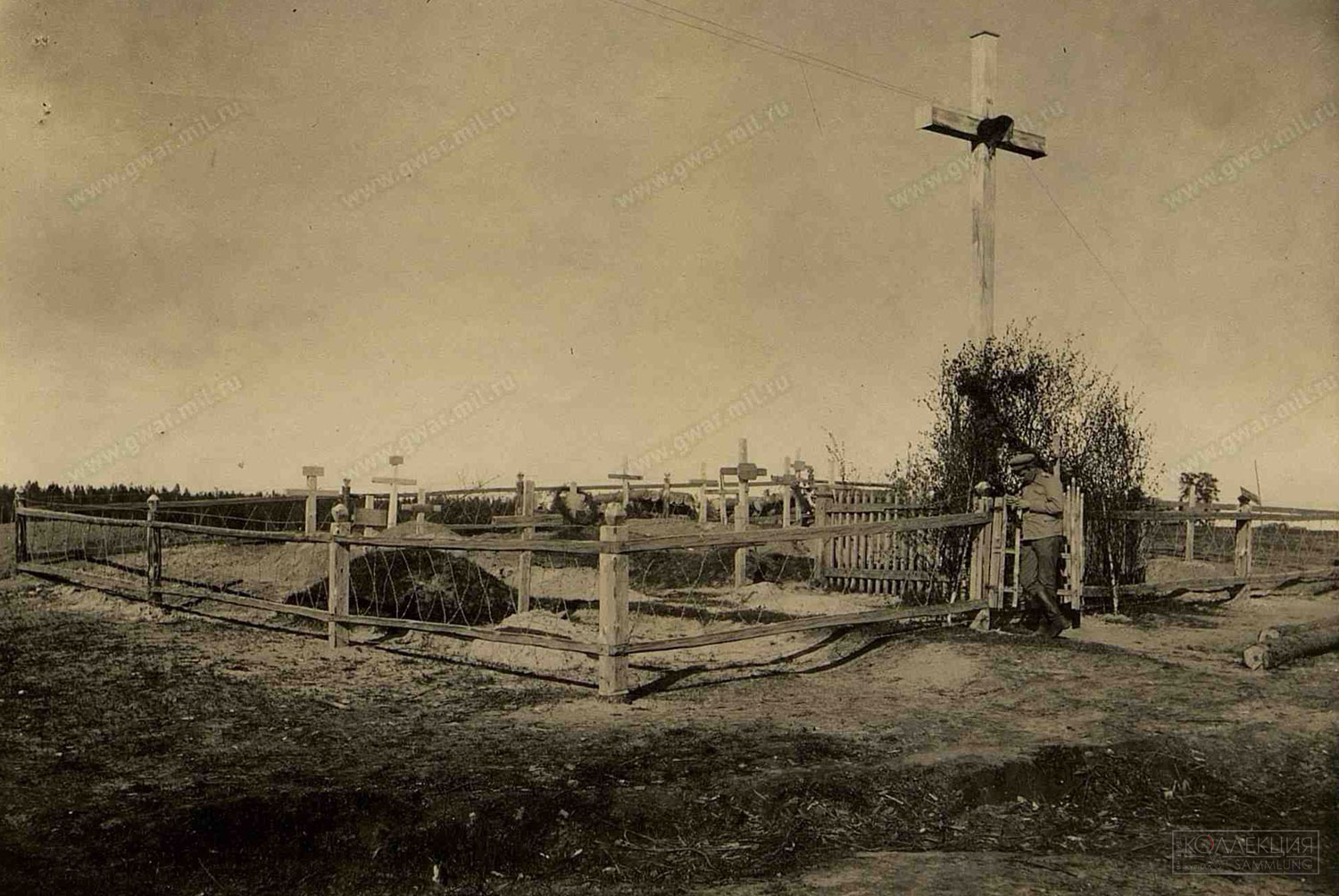 Фотография военного кладбища у деревни Белевичи