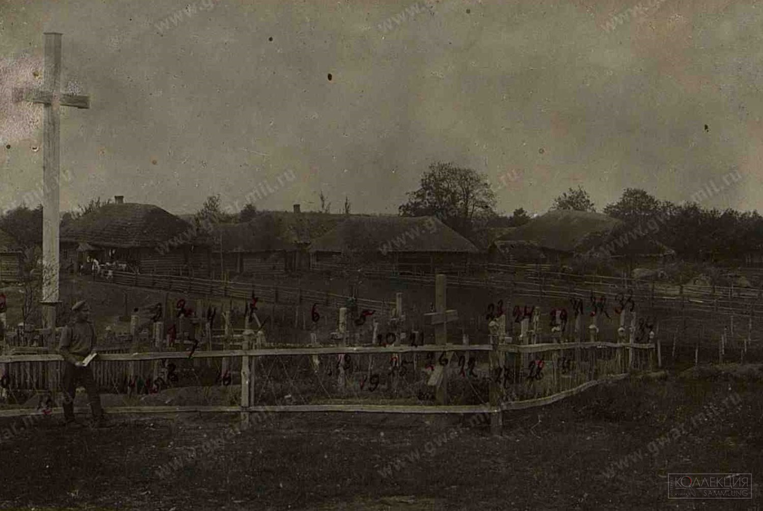 Фотография военного кладбища у деревни Белевичи