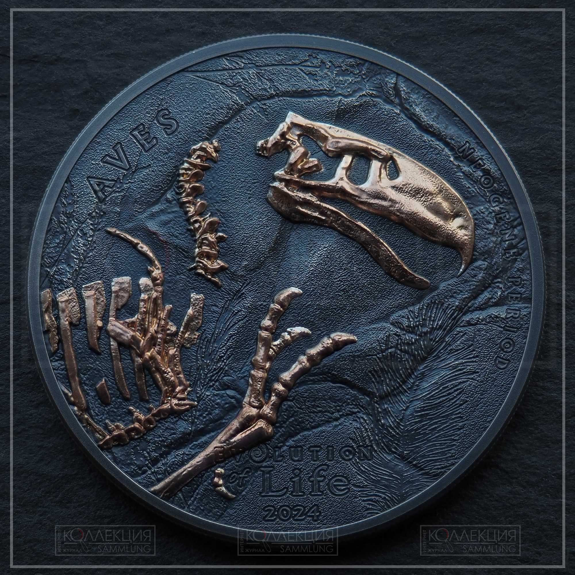 Титанис (сем. фороракосовые). Монголия. 2024. Серебро 999. 38.61 мм / 31,1 гр. Тираж 999 экземпляров. Коллекция Максима Кошелева