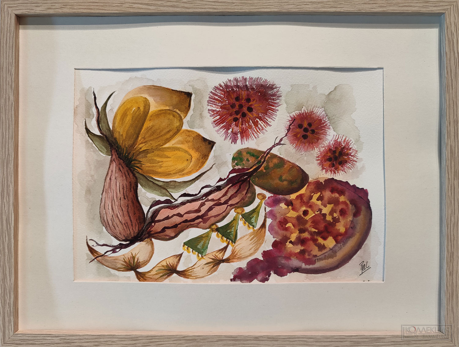 Роза Кристина Лаурейро (Rosa Cristina Laureiro)