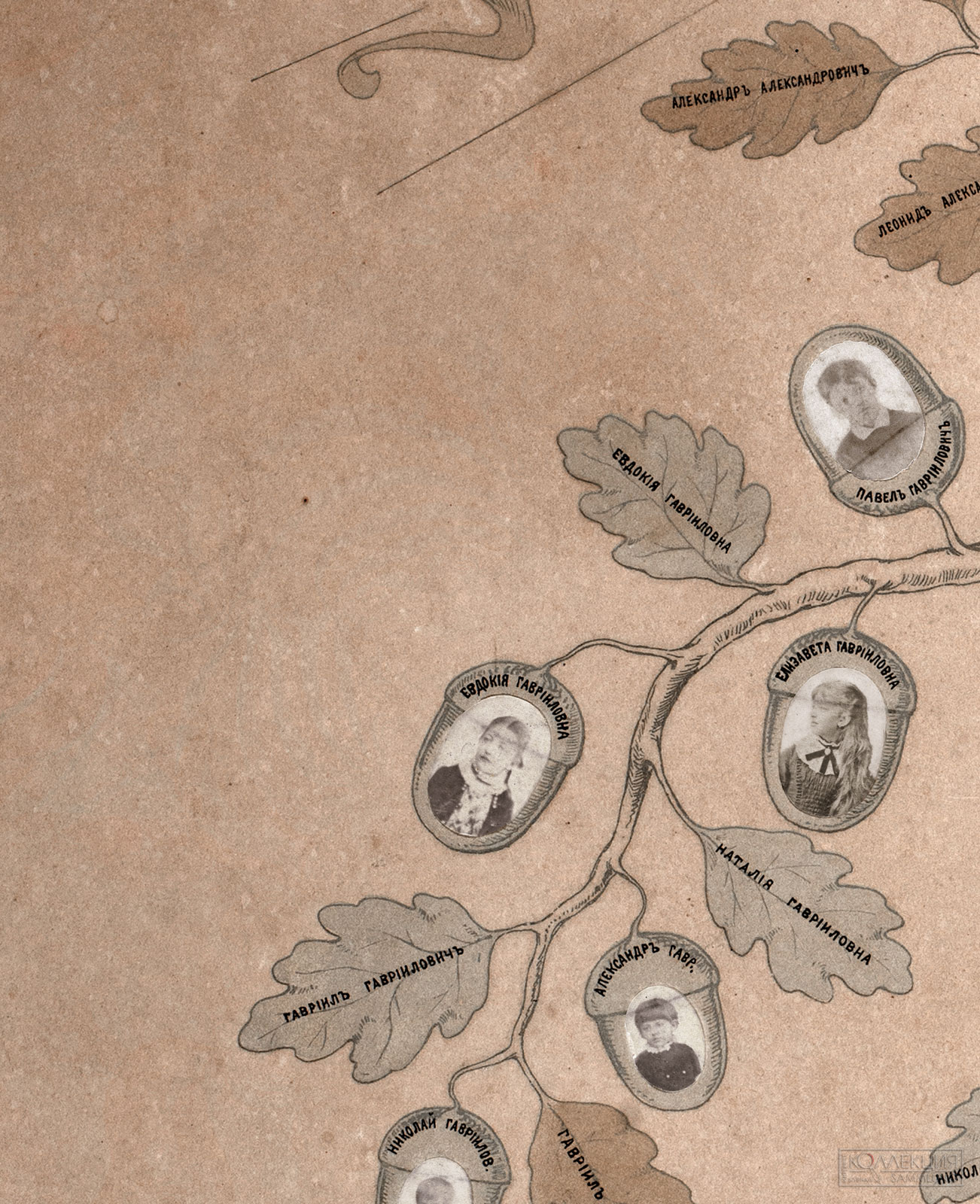 А.А. Веснин (дядя братьев) Генеалогическое древо семьи Весниных в честь 50-летия со дня свадьбы А.И. и Г.А. Весниных (дедушки и бабушки братьев). 1884. Музей архитектуры имени А.В. Щусева (Фрагмент)