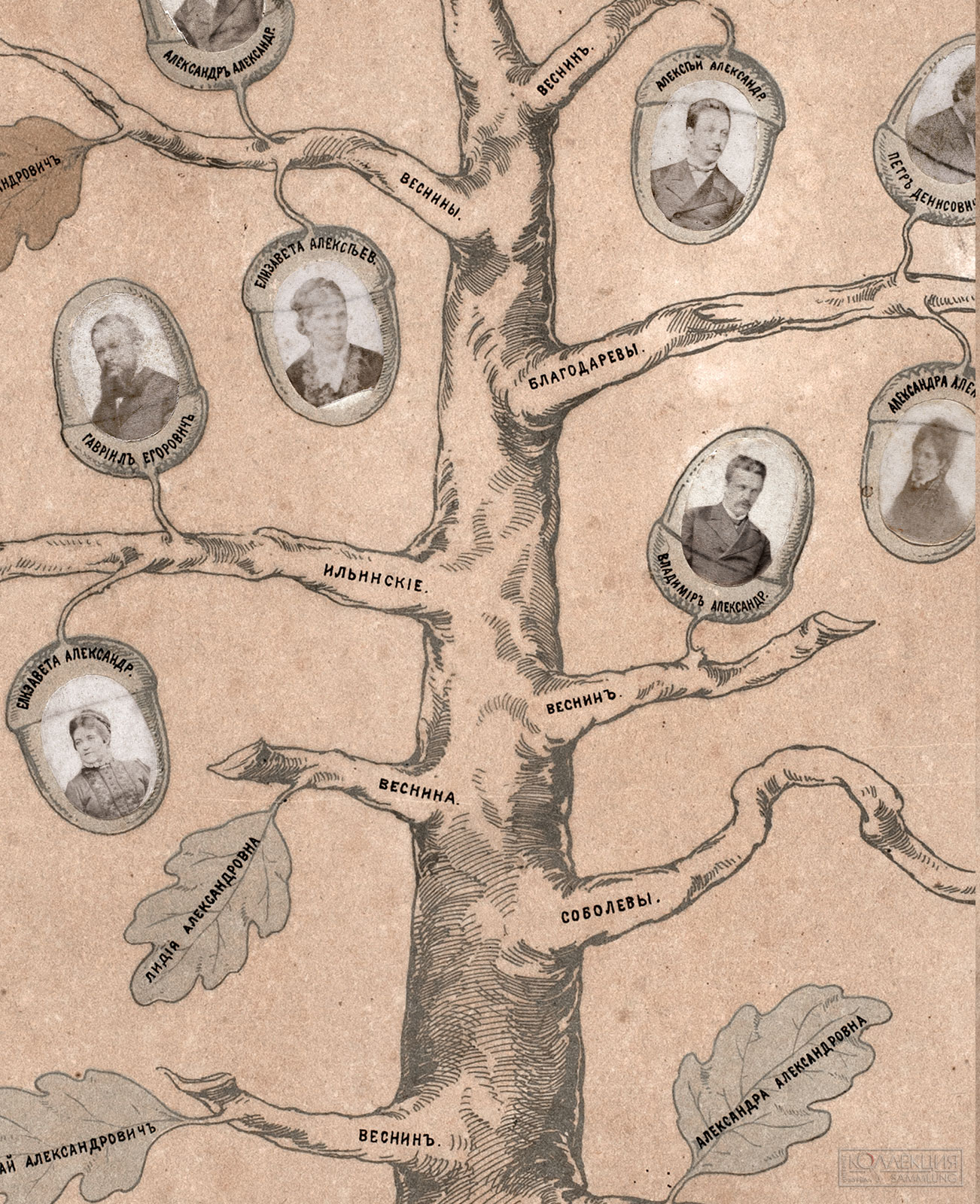 А.А. Веснин (дядя братьев) Генеалогическое древо семьи Весниных в честь 50-летия со дня свадьбы А.И. и Г.А. Весниных (дедушки и бабушки братьев). 1884. Музей архитектуры имени А.В. Щусева (Фрагмент)