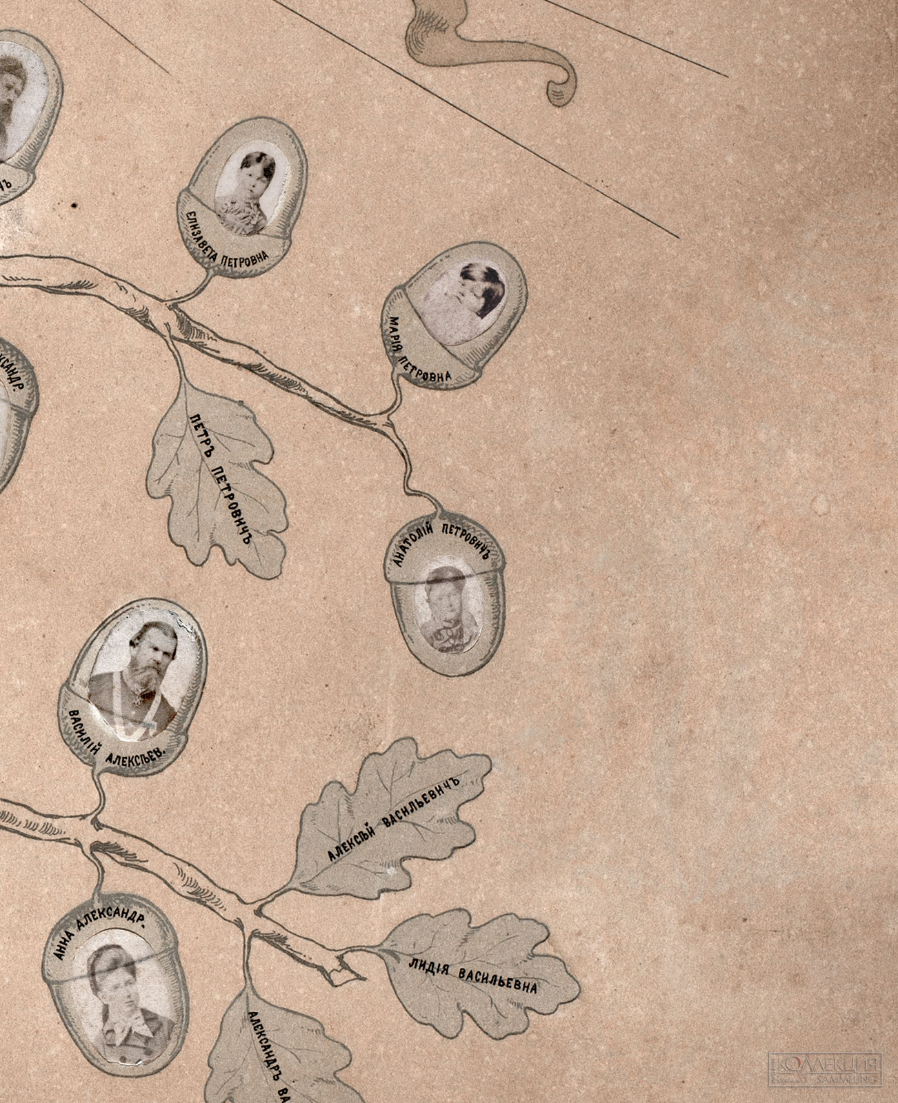 А.А. Веснин (дядя братьев) Генеалогическое древо семьи Весниных в честь 50-летия со дня свадьбы А.И. и Г.А. Весниных (дедушки и бабушки братьев). 1884. Музей архитектуры имени А.В. Щусева (Фрагмент)