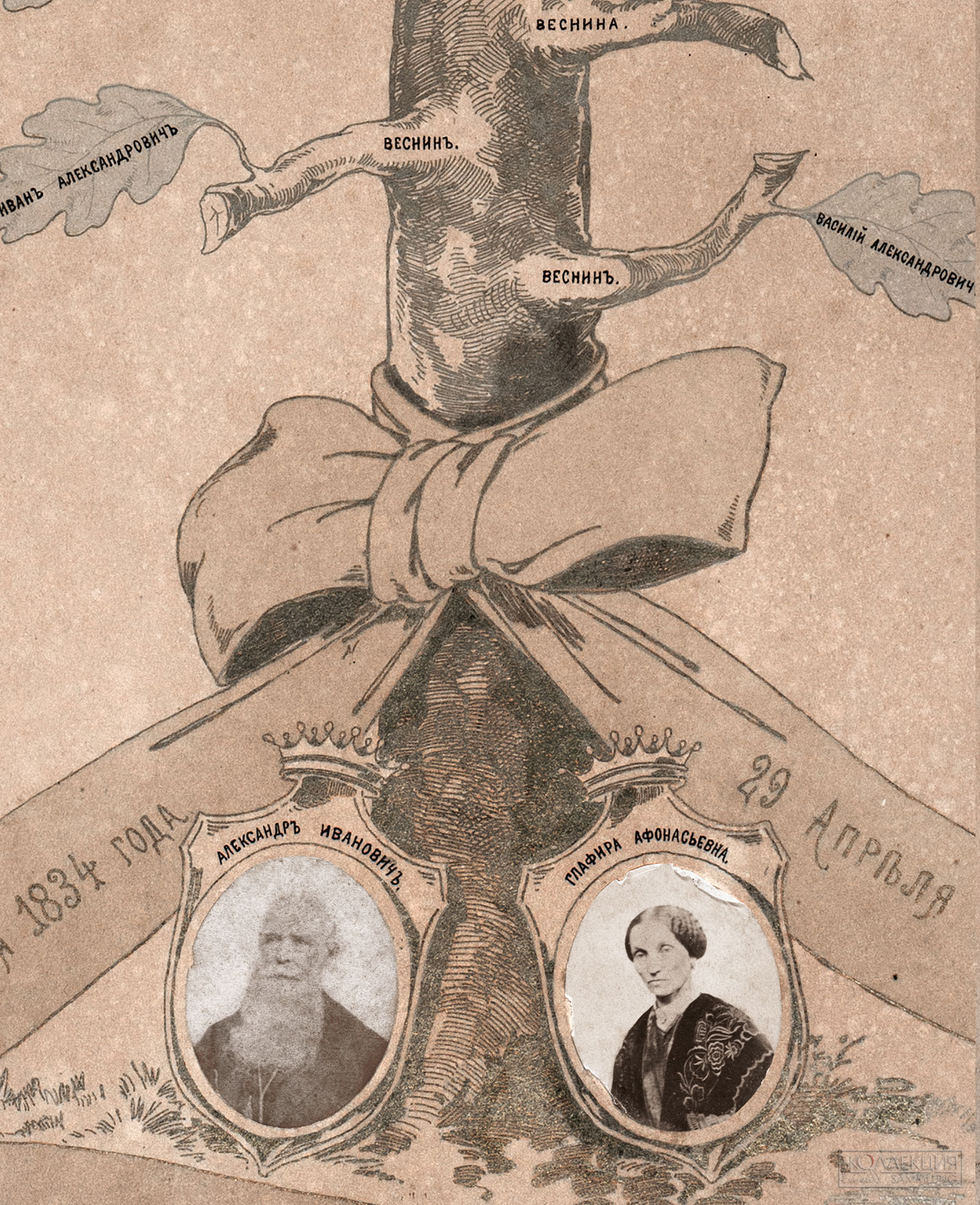 А.А. Веснин (дядя братьев) Генеалогическое древо семьи Весниных в честь 50-летия со дня свадьбы А.И. и Г.А. Весниных (дедушки и бабушки братьев). 1884. Музей архитектуры имени А.В. Щусева (Фрагмент)