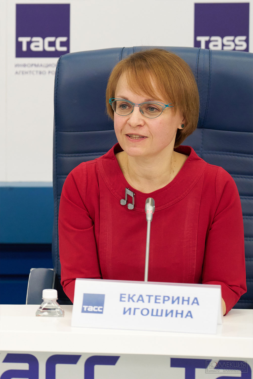 Екатерина Игошина, кандидат искус­ствоведения, ру­ководитель проекта «Мос­ковский Вит­рувий», заведующая научной библио­текой ГМИИ им. А.С. Пушкина