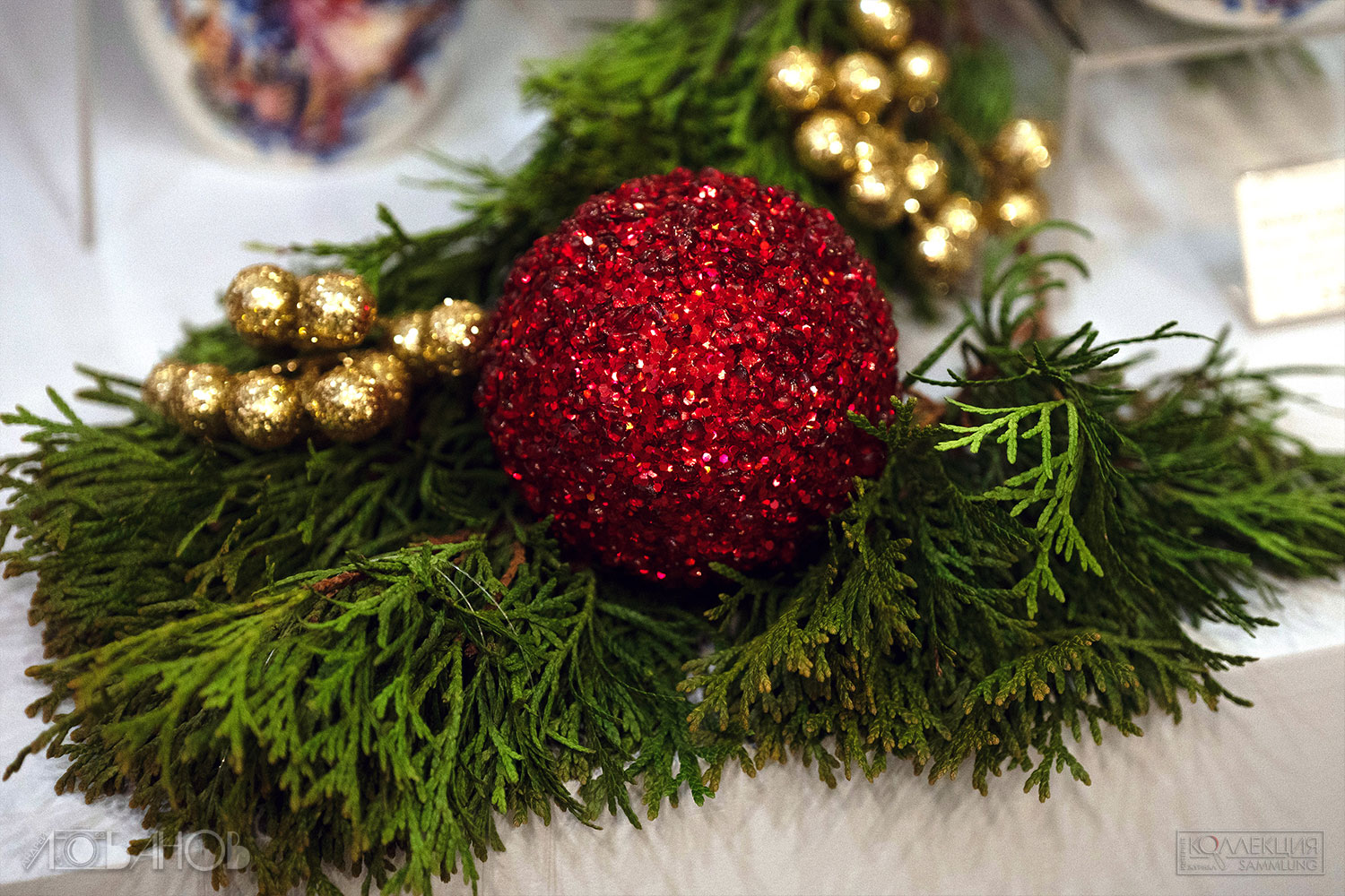 Миша Ленн (Фотограф Андрей Лобанов)