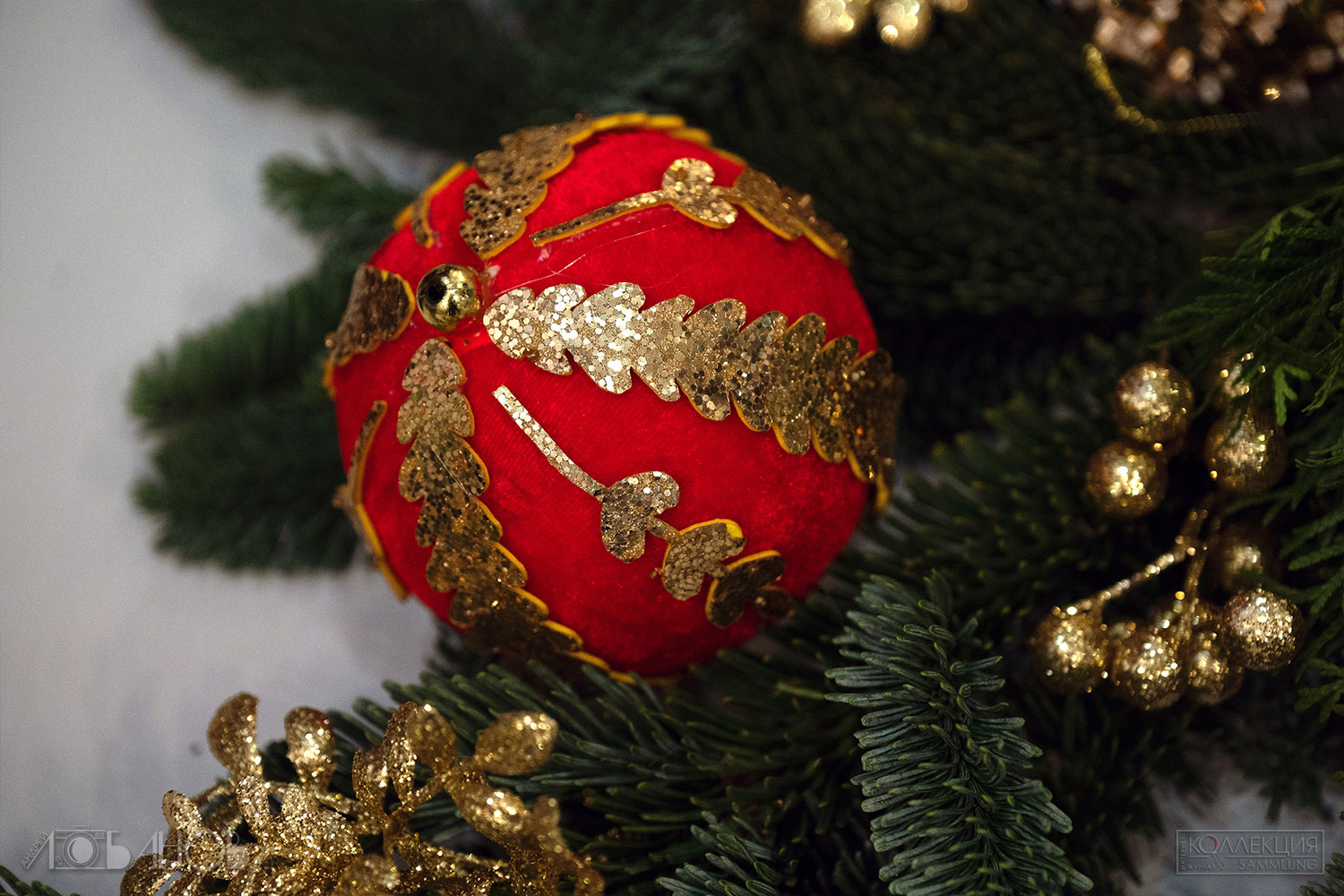 Миша Ленн (Фотограф Андрей Лобанов)