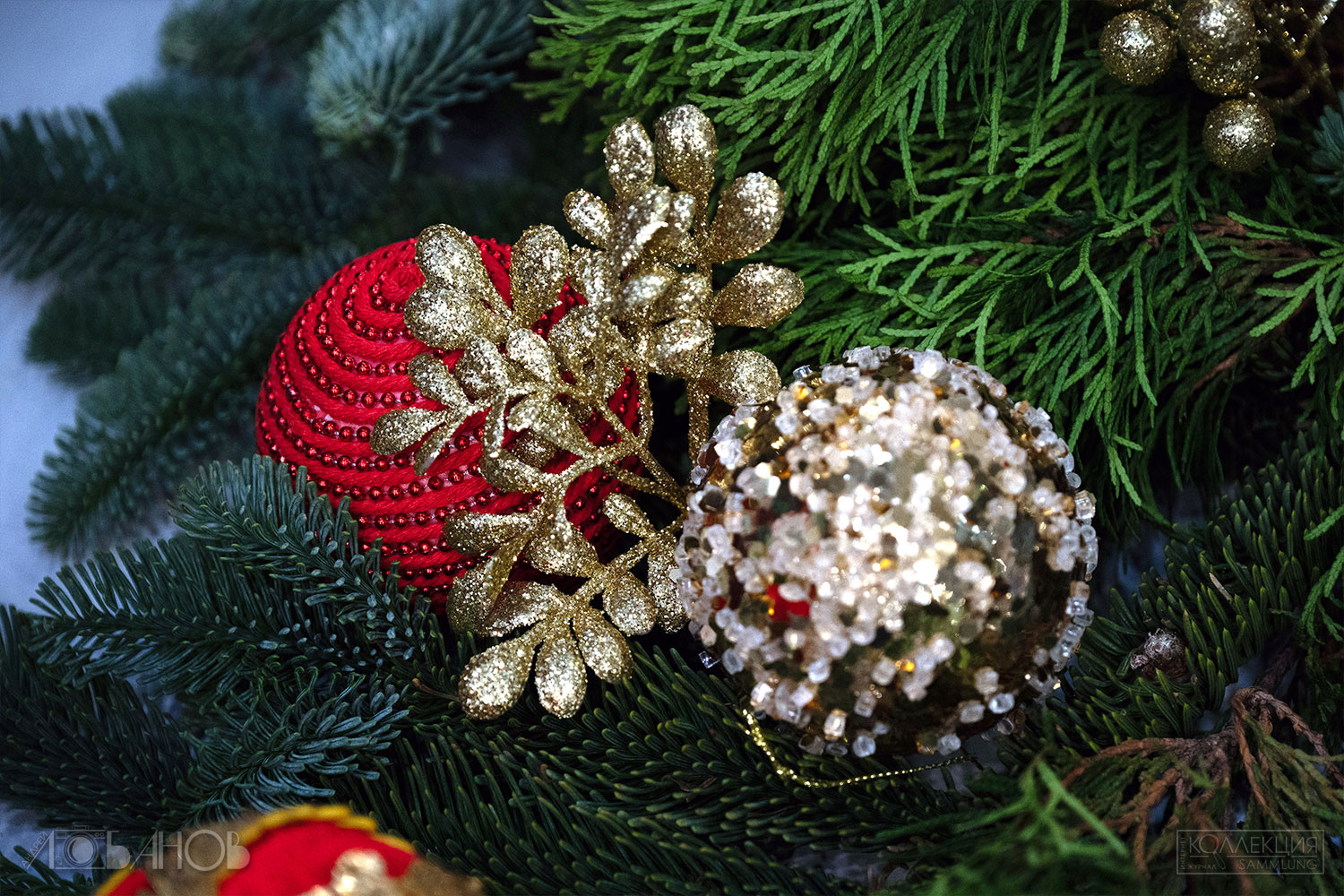 Миша Ленн (Фотограф Андрей Лобанов)