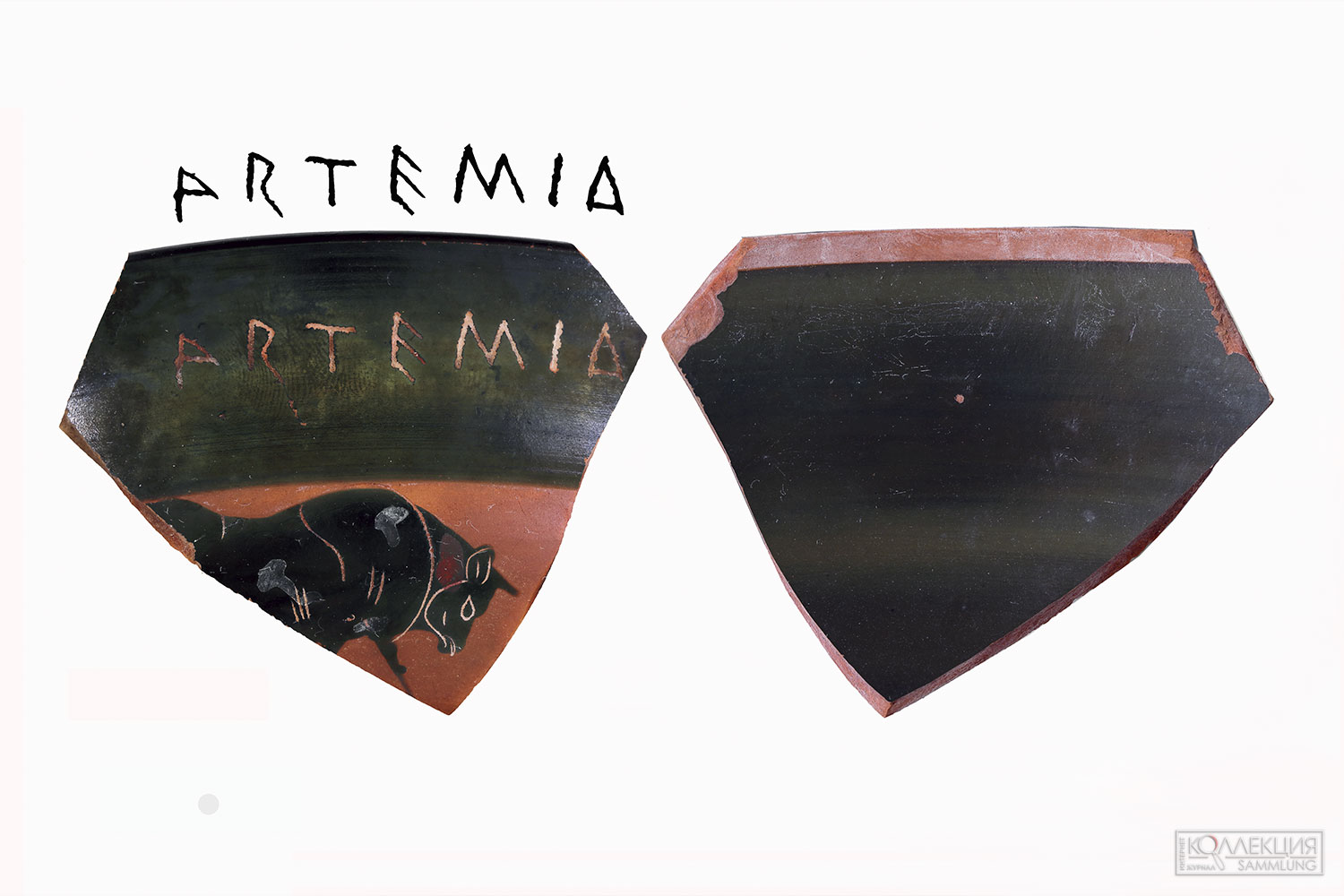 Край чернофигурного килика с посвящением богине Артемиде (Восточно-Крымский историко-культурный заповедник)