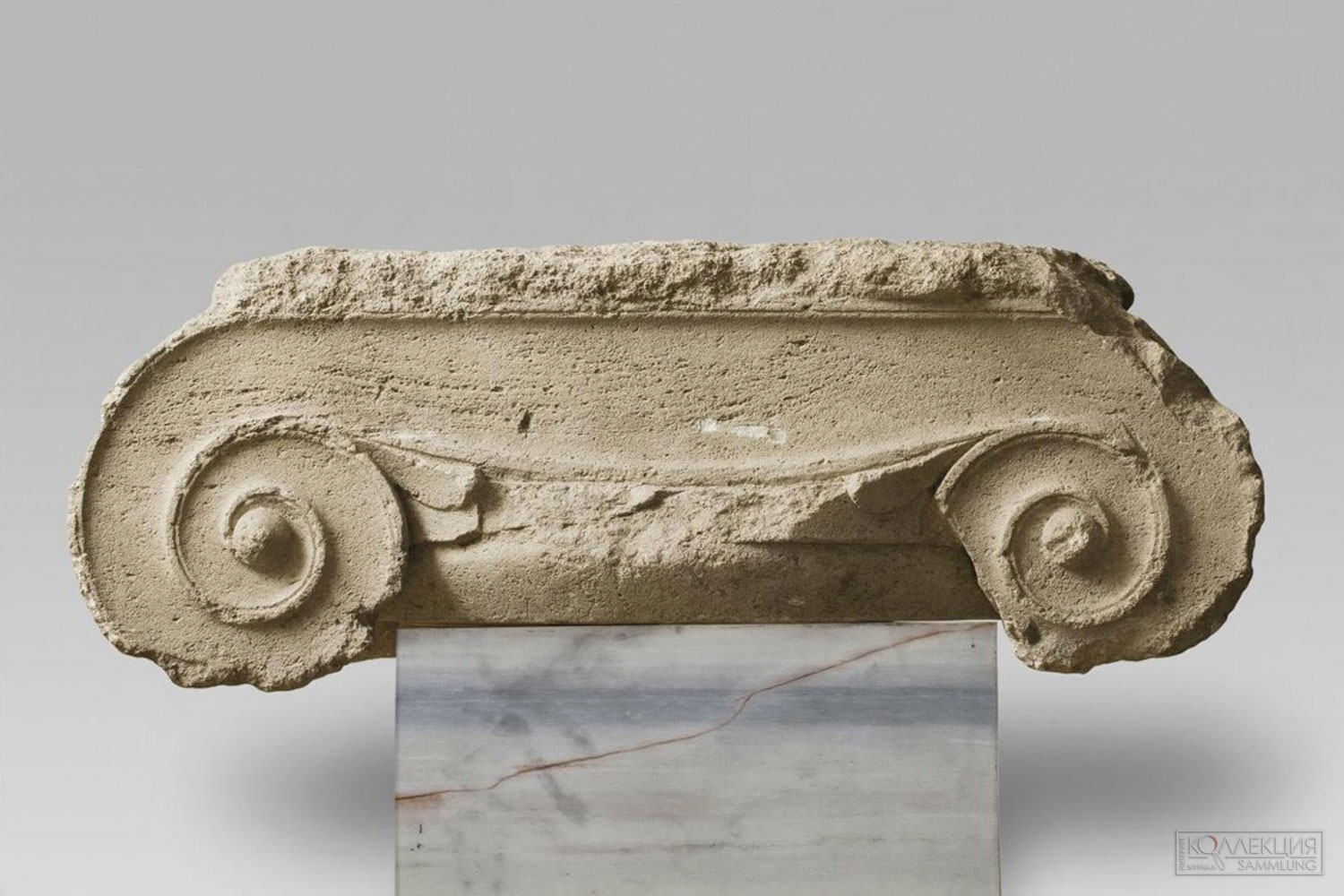 Капитель колонны ионического ордера (предположительно принадлежит храму Аполлона на акрополе Пантиканея) (ГМИИ им. А.С. Пушкина)