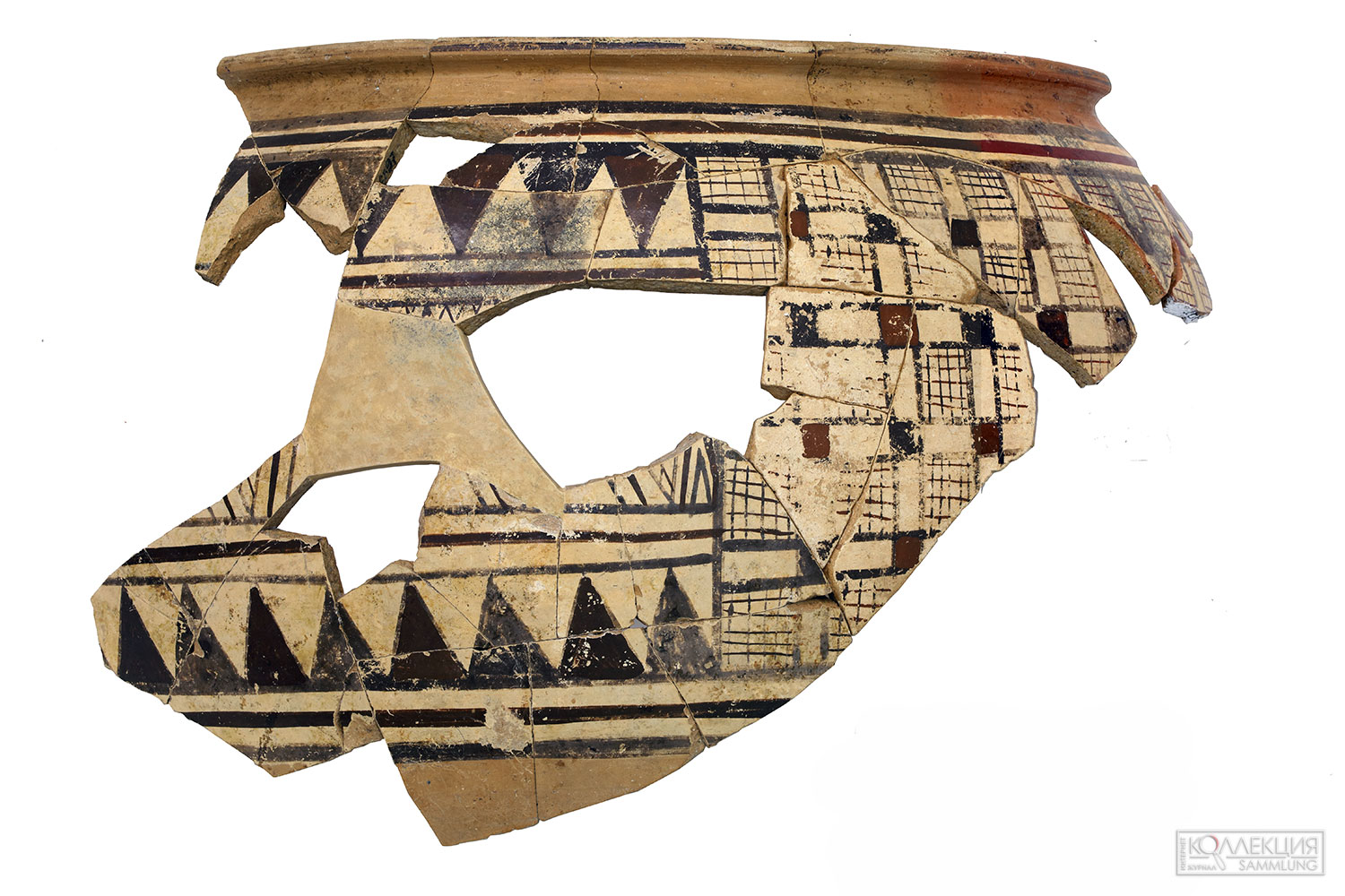 Анатолийский динос (Восточно-Крымский историко-культурный заповедник)