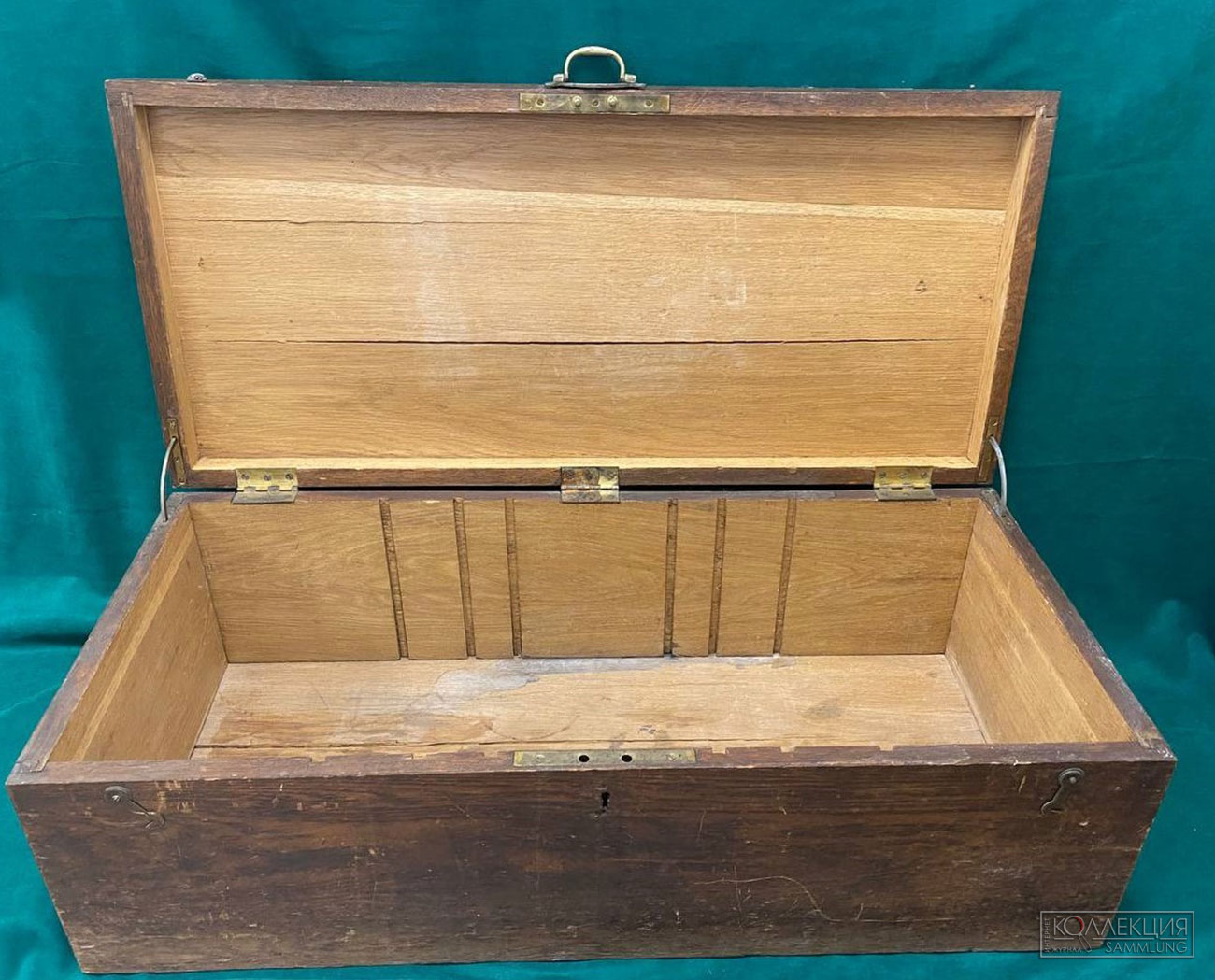 Кабинет Бианки