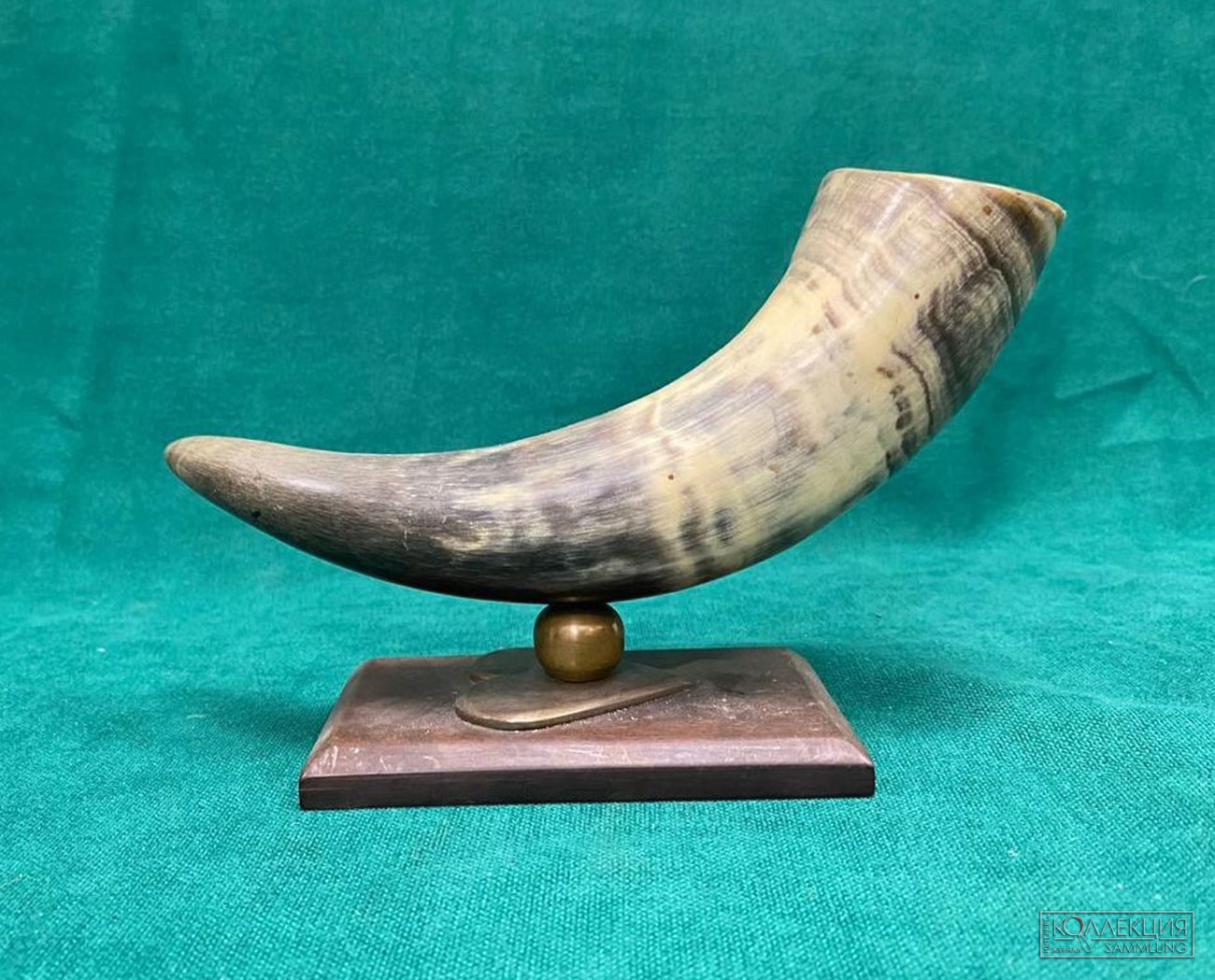 Кабинет Бианки