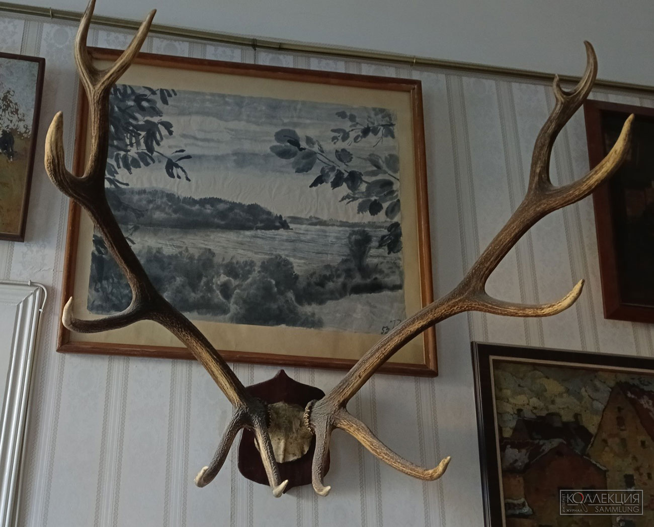 Кабинет Бианки