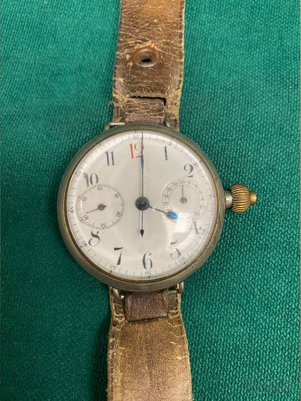 Кабинет Бианки