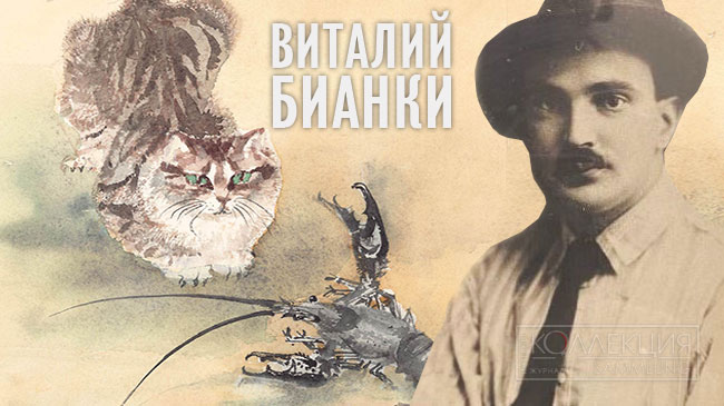 Кабинет Бианки