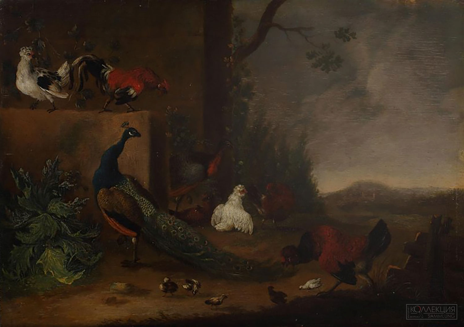 Фердинанд ван Кессель. Павлин и куры. Дерево, масло. XVII в. Пермская государственная художественная галерея