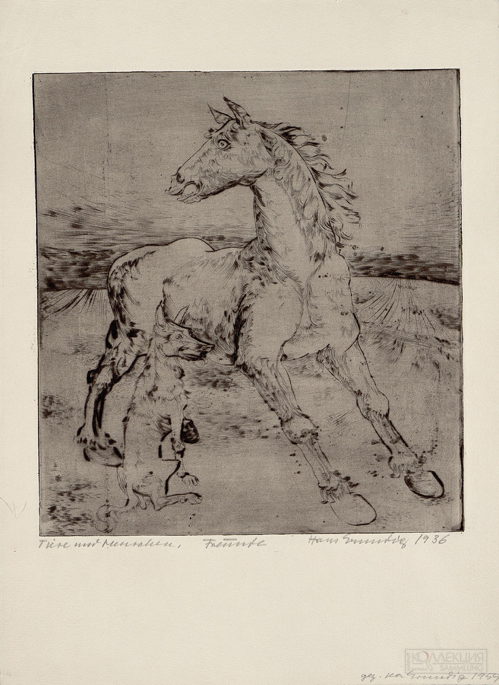 Ганс Грундиг. Лошадь, повернувшая голову в левую сторону. Германия. 1936. Сухая игла. 404х295 мм (лист). Государственный Эрмитаж, Санкт-Петербург