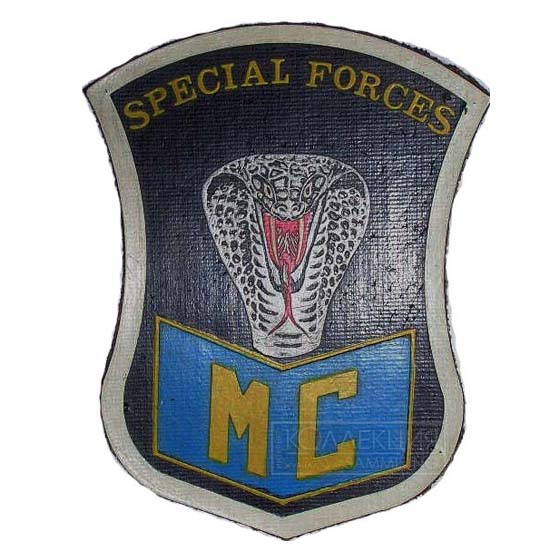 Нарукавные знаки российских миротворцев в Южной Осетии с изображением кобры. Изображение первой нашивки предоставлено Г. Плоткиным, остальные — частная коллекция