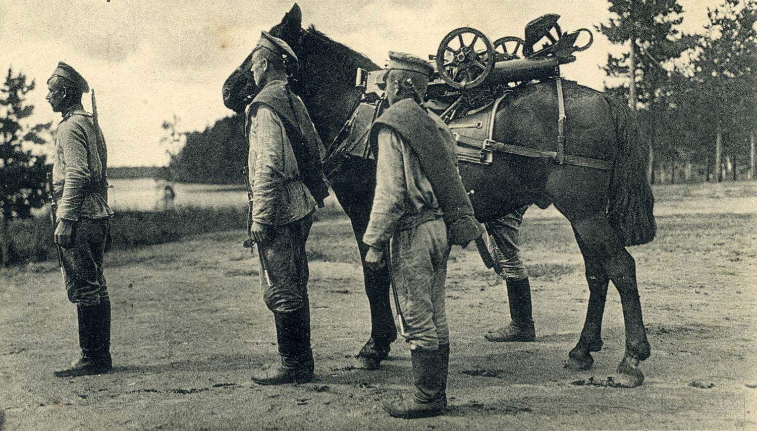 Перевозка пулемёта на вьюке.