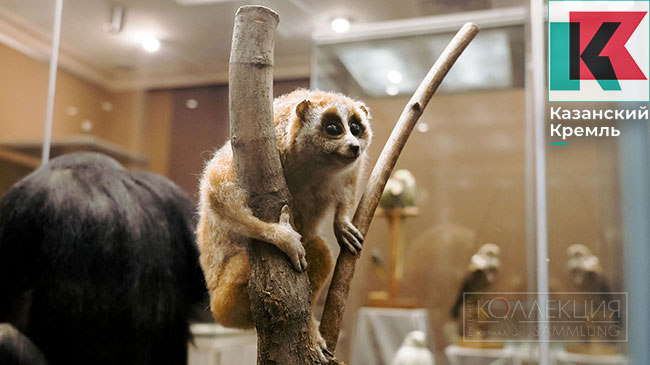 Сокровища контрабандистов