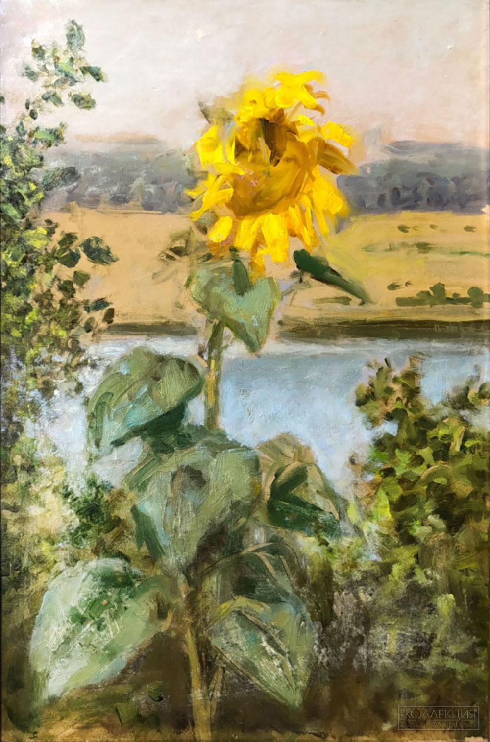 Адливанкин Самуил Яковлевич (1897–1966). Подсолнух. 1960. Картон, масло. 46×31