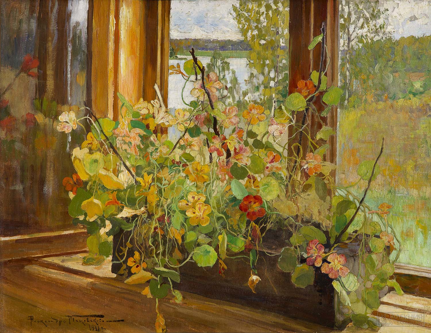 Маковский Александр Владимирович (1869-1924). Натюрморт с настурциями. 1911. Государственный музей-заповедник «Петергоф»