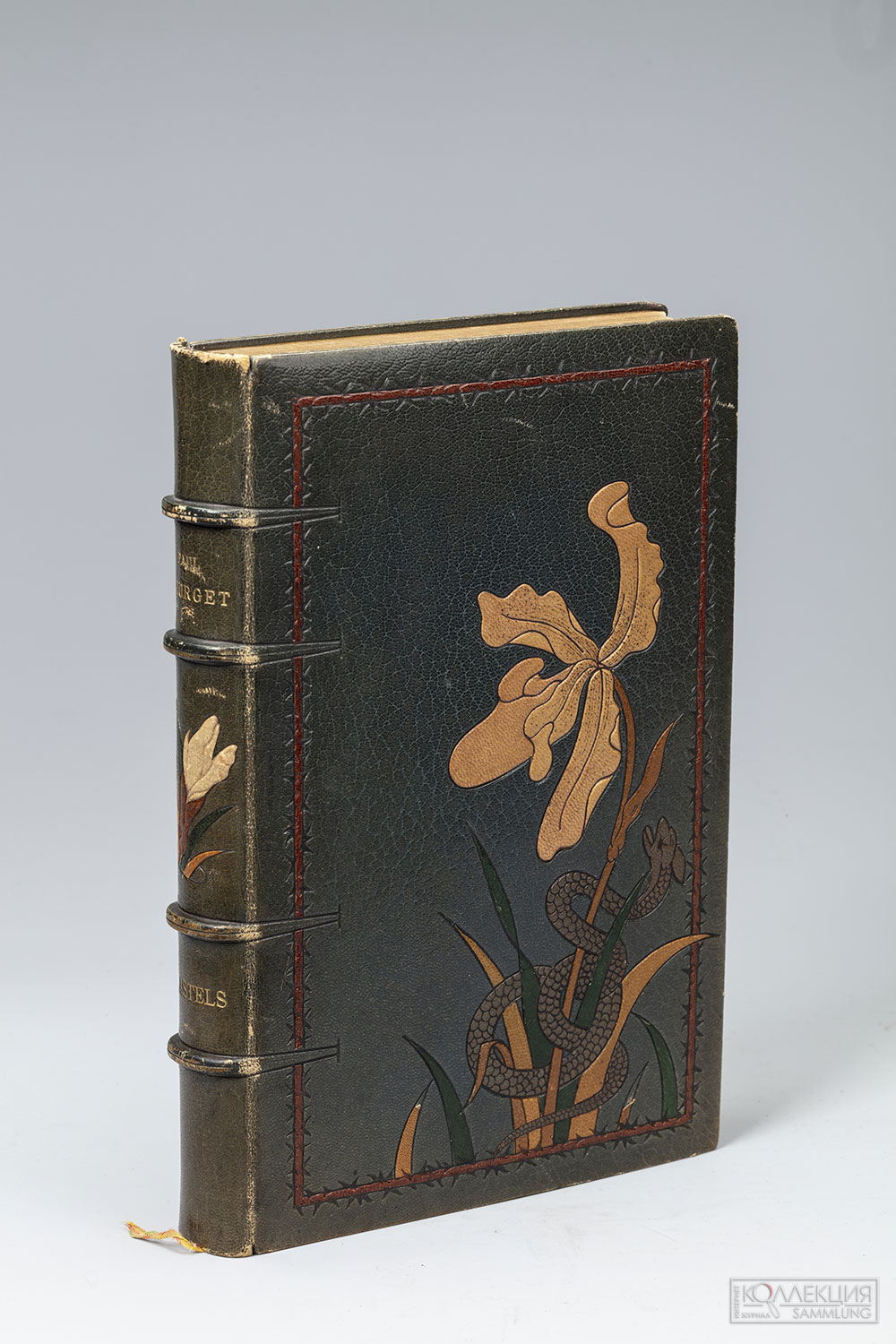 Книжный переплёт. Франция. 1898. Работа Шарля Менье (Charles Meunier, 1865/66–1940/48). Кожа, шёлк, бумага; мозаика кожаная, тиснение золотое, тиснение блинтовое. Государственный Эрмитаж. Инв. № 386551